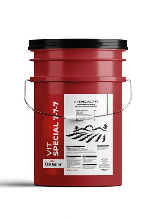 VİT SPECIAL